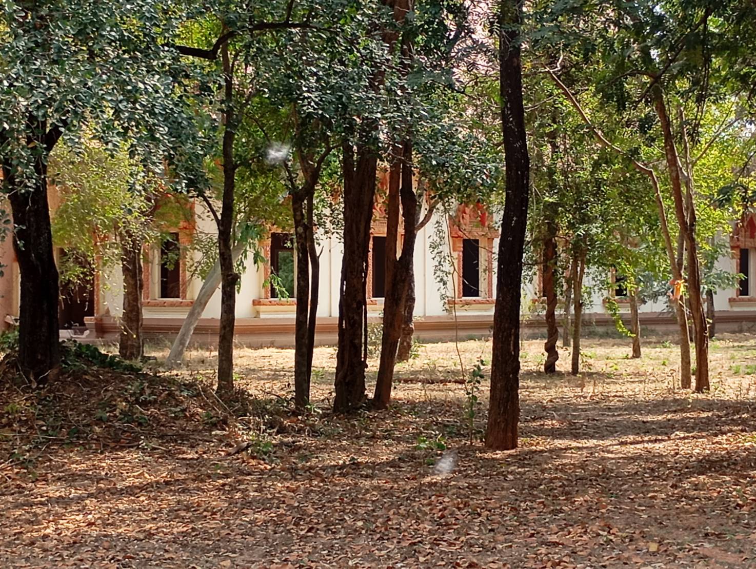 ทดสอบใหม่1